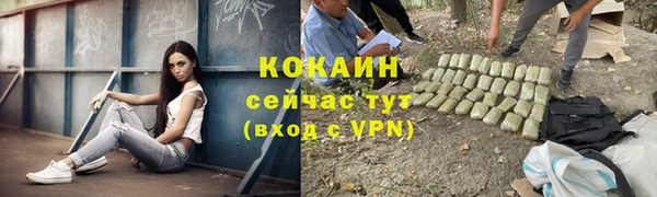 бошки Нея