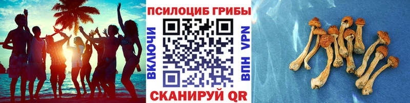 Купить  Алейск  Галлюциногенные грибы ЛСД 